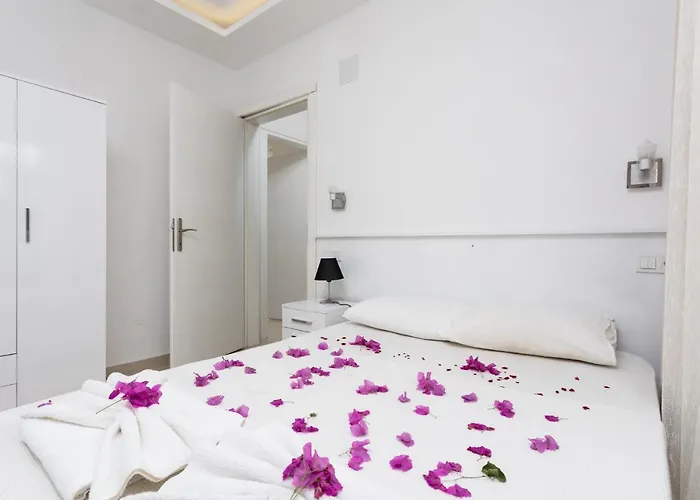 Casa Mia فيلة داليان